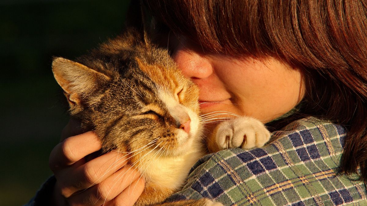 A happy child holds a happy cat up close